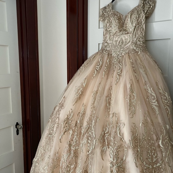 Prom Gown, Quinceañera Gown, Wedding Gown, Cosplay Gown or Ball Gown - Picture 7 of 14
